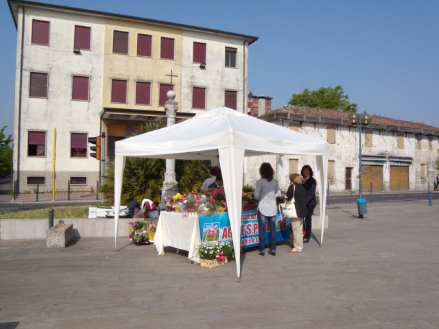 Festa della Mamma 2011